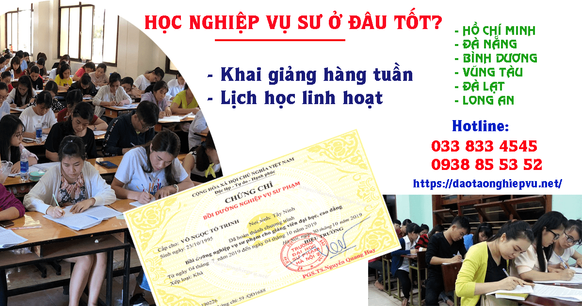 Học nghiệp vụ sư phạm tiểu học ở đâu